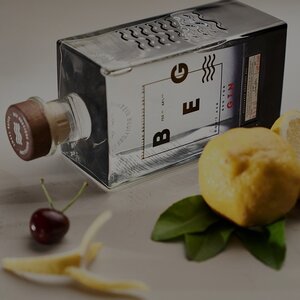 GIN & TÔNICA