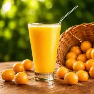 Sucos de Frutas