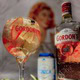 Drink Gordons Pink Tônica