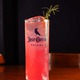 Cuervo Paloma