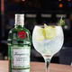 Tanqueray 