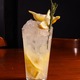 Absolut elyx
