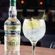 FORD´S GIN