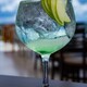 Apple Gin