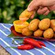 Bolinhos de Bacalhau
