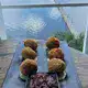 Croquete de Carne Seca 