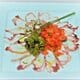 Carpaccio de Polvo com Brunoise de Cebola Roxa, Tomate e Alcaparras