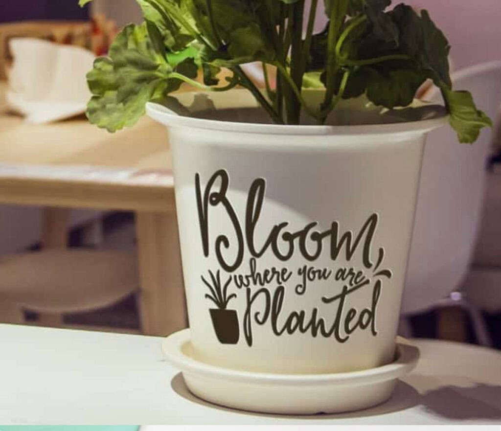 Download 12 Gorgeous Free Svg Cut Files For Spring Clementine Creative