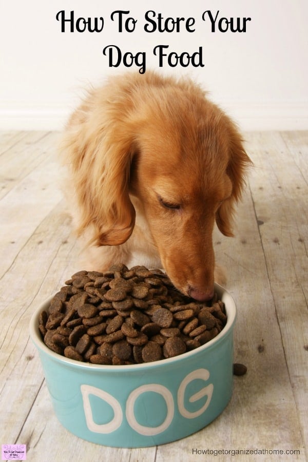 keep dog food fresh
