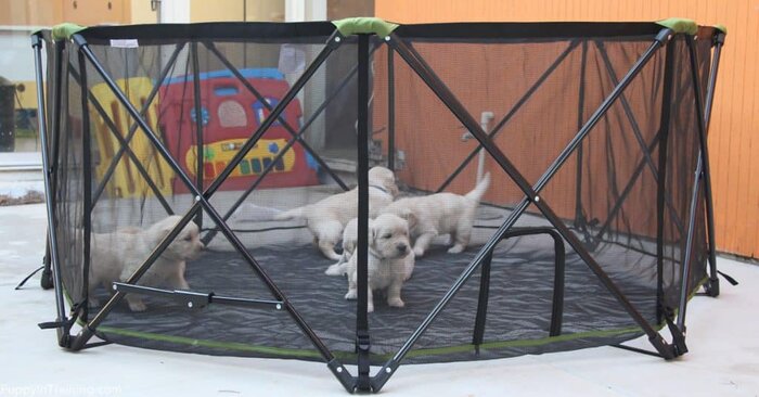 portable puppy pen