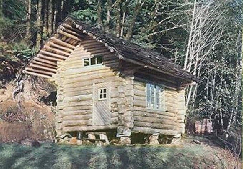 Small Cabin Built for $100