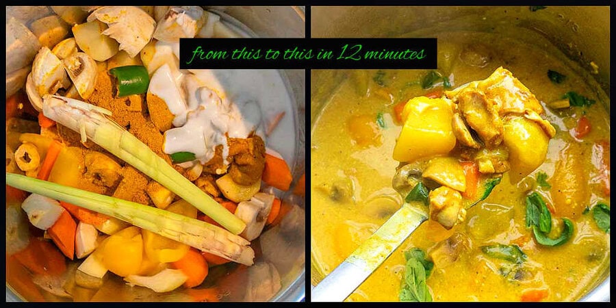 Instant Pot Vietnamese Chicken Curry Only Gluten Free Recipes