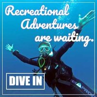 Dolphin Dive Center Get Scuba Certified