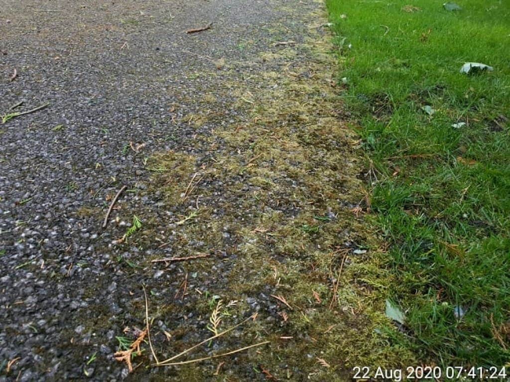 How To Kill Moss On Driveways Without Using Dangerous Bleach