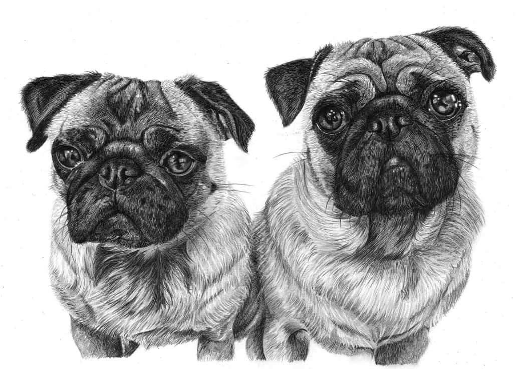 Pencil Drawings Of Dog And Puppies From Your Photos For Sale Funny dog illustration with splash watercolor textured background. pencil drawings of dog and puppies from