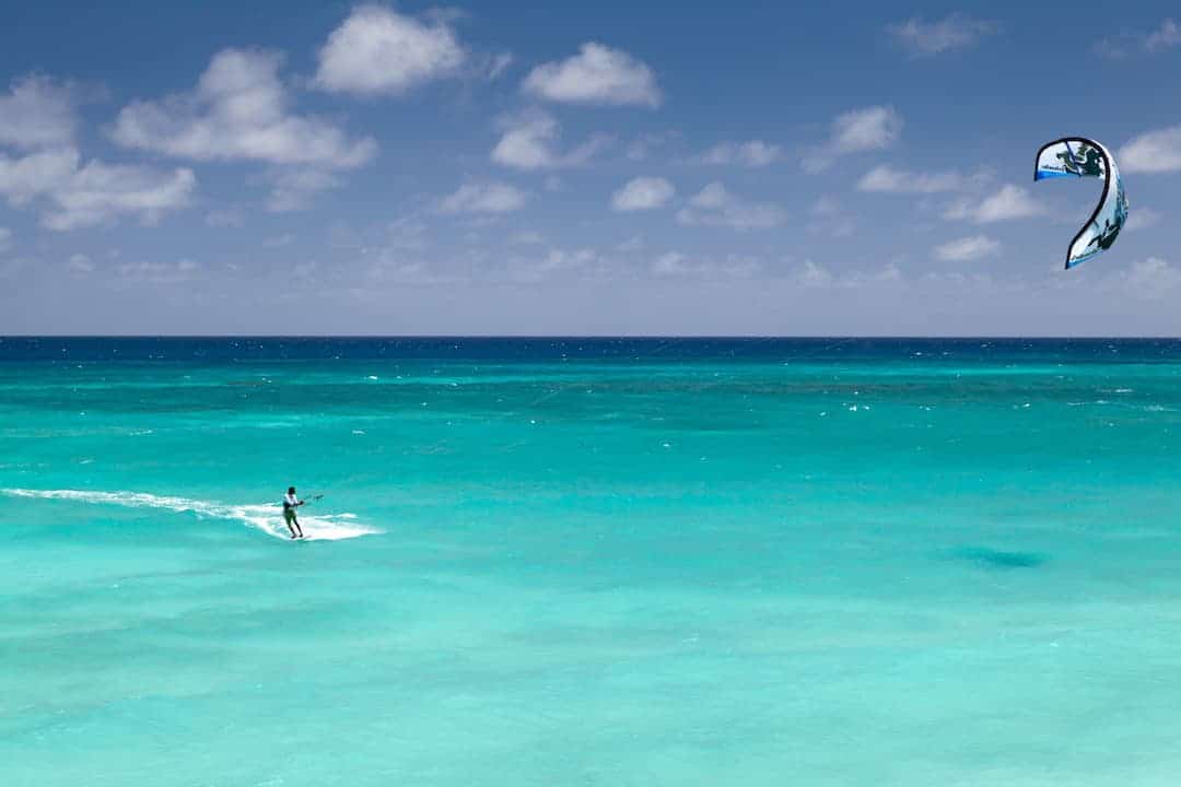 Safari Zanzibar