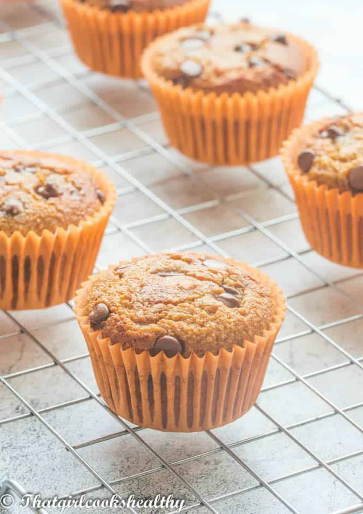 Gluten Free Gingerbread Muffins That Girl Cooks Healthy