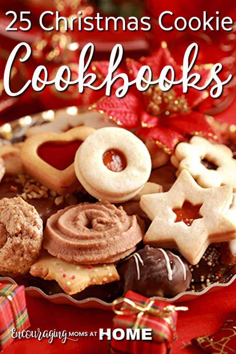 25 Christmas Cookie Cookbooks You Will Love