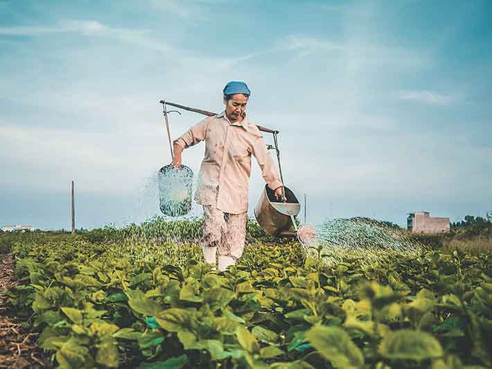 What is Biodynamic Farming and Biodynamic Agriculture?