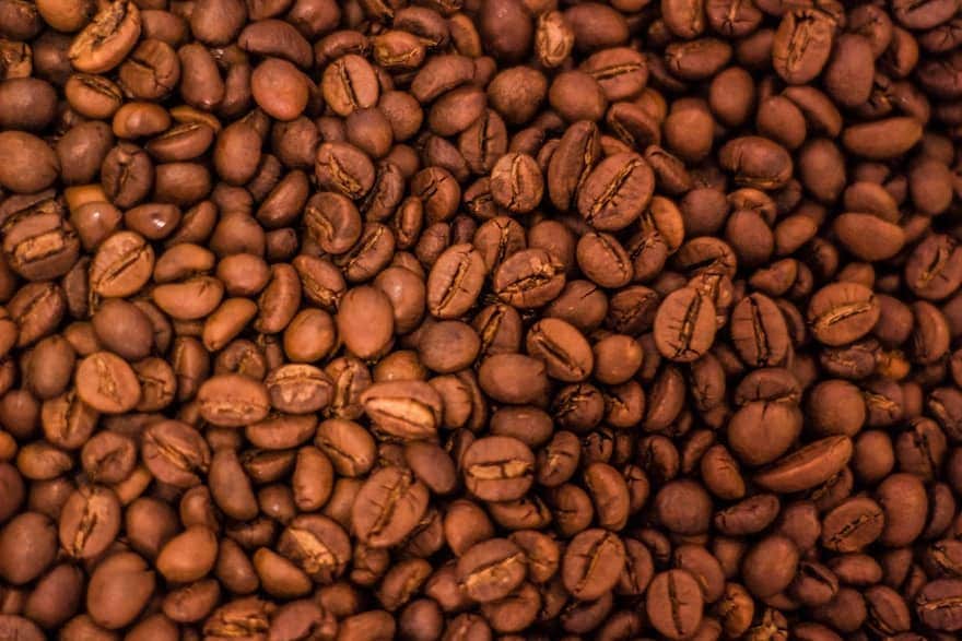 Oily Coffee Beans Explained Bean Poet