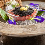 Mini  tartare     R$35