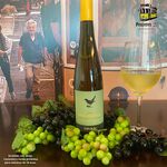 Vinho Verde Bico Amarelo