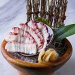 Sashimi polvo