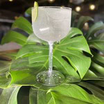 Gin & Tônica 