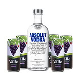 COMBO Absolut + 5 sucos