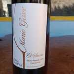 Mario Geisse Gran reserva Carmenere