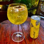 Gin Tonica Tropical