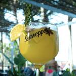 Gin Laranja com Anis