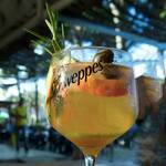 Gin Cajú