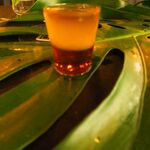 Carica