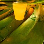 Maracutaia