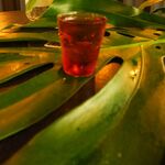 Puro Suco