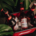 Budweiser - 600ml