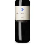 Casa Rivas Reserva Merlot 2011 (750 ml)