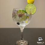 Gin Tônica