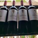 QUINTAY CLAVA RESERVA CABERNET SAUVIGNON