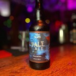 SLOD PALE ALE ESB 500ML