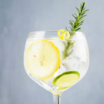 G&T tradicional