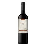 Copa Carmenere Bitácora de Viaje