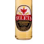 Seleta (MG)