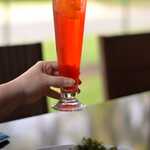 BRIZÊ SPRITZ