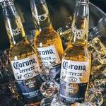 Combo Corona Long Neck 10 UN