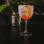 Gin & Tonic - sabores