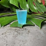 Gelado