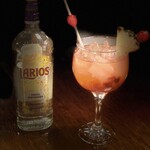 Gin tonica com frutas vermelhas importado