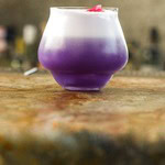 THE PURPLE GARDEN 